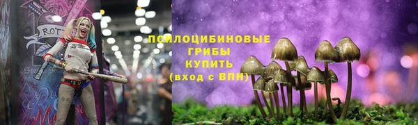 СК Аркадак