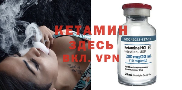 прущие грибы Балахна