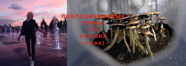 СК Балабаново