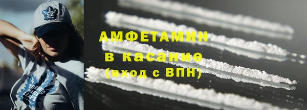 прущие грибы Балахна