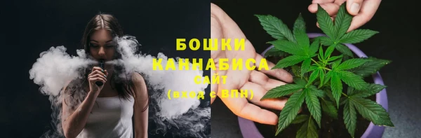прущие грибы Балахна