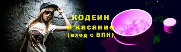 прущие грибы Балахна