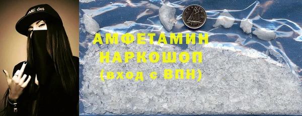 прущие грибы Балахна