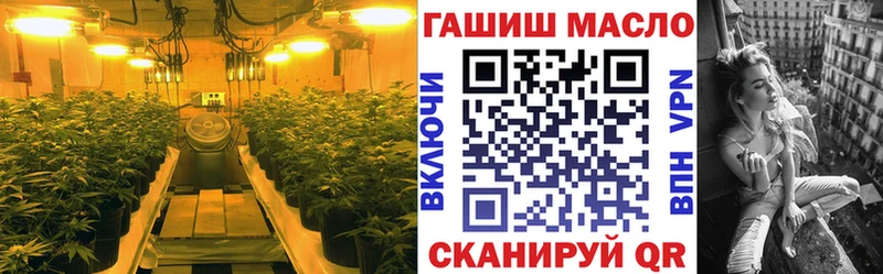 закладки  Николаевск-на-Амуре  ТГК гашишное масло 